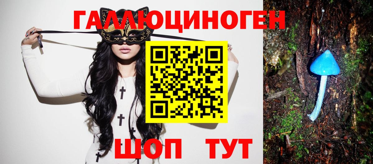 Галлюциногенные грибы ЛСД Киселёвск