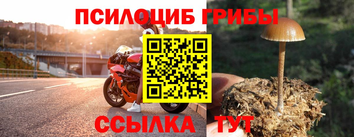 Псилоцибиновые грибы Psilocybine cubensis  Псилоцибиновые грибы Psilocybe  Киселёвск  Вход с VPN 